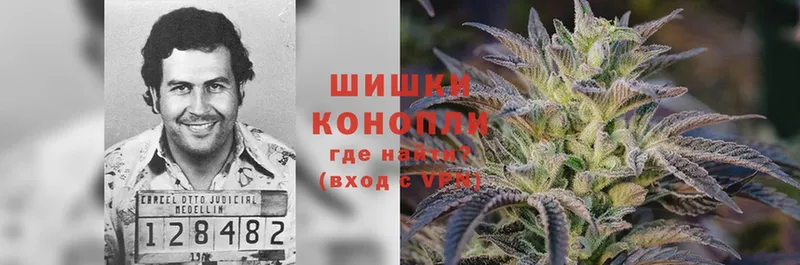 Марихуана White Widow  где продают   Любань 